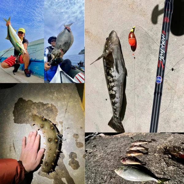 BIUTIFU Spinning Casting Fuji Lure Mini Traveller Rock Fishing Rod 3.0/2.4/2.1/1.8m T800Carbon Baitcasting Ultralight Fast 5-42g - Image 6
