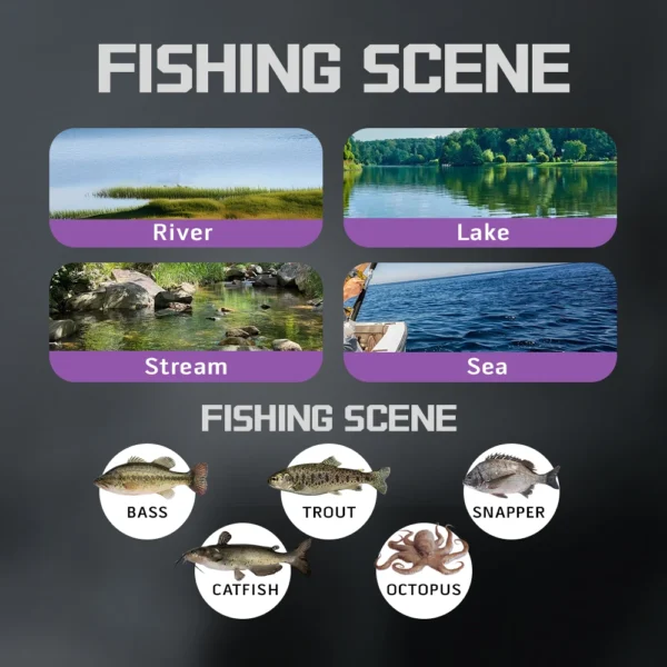 SOLOKING ACURA HICC50 Pro Baitcasting Reel 10+1BB Ultralight BFS Reel for Bass Trout 7.1/8.1 Gear Ratio 4KG Drag Fishing Reel - Image 2